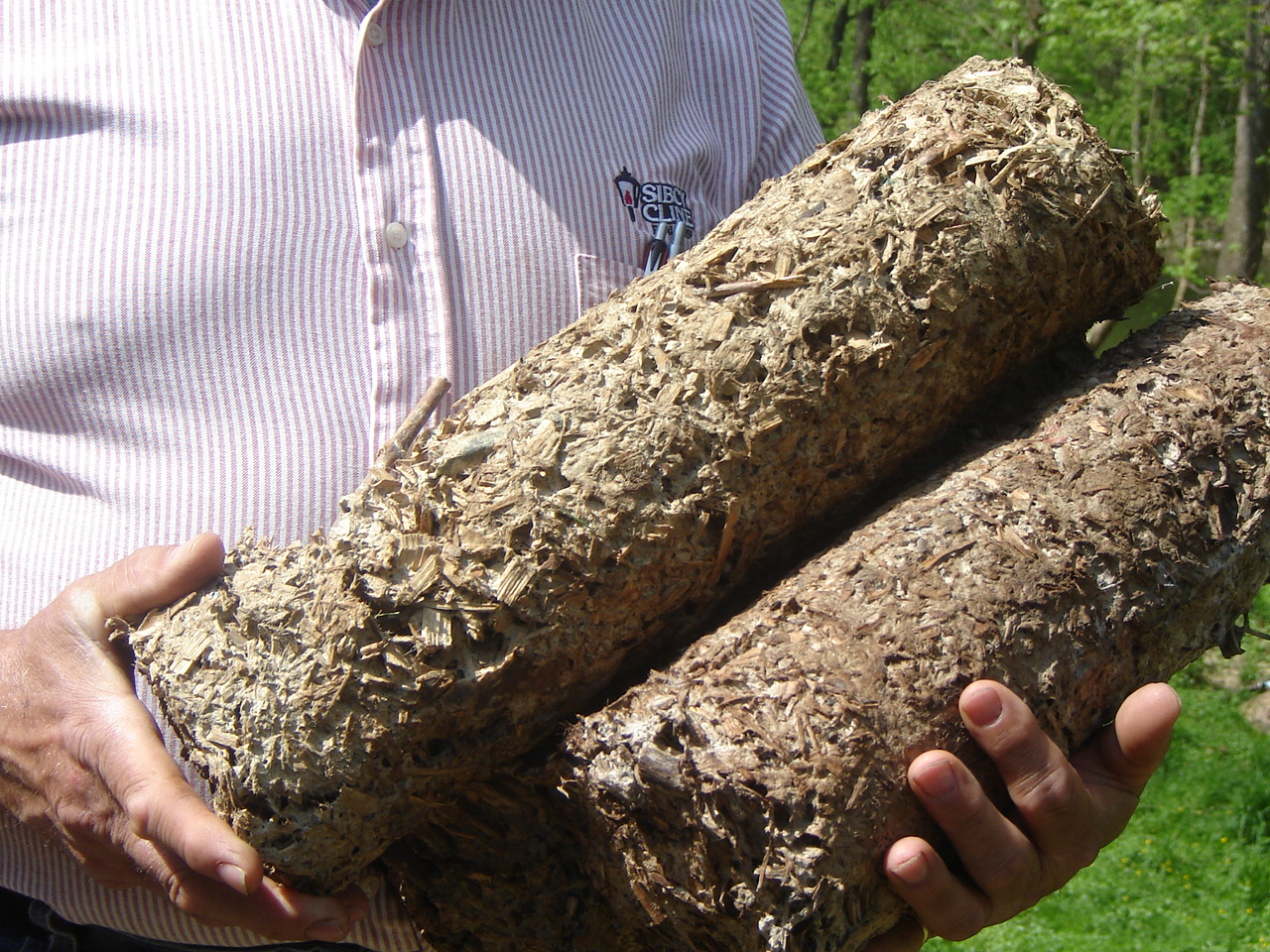 logs.jpg